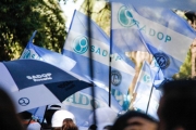movilización y paro docente